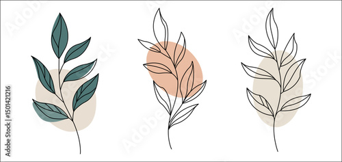 Minimal plant and leaf illustrations hand drawn botanical decor set for nature themes on transparent background