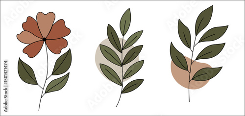 flower,branch,green high resolution vector floral element for spring collections greeting cards online campaign visuals and social graphics natural beauty themes