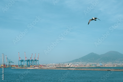 View of Naples from the sea