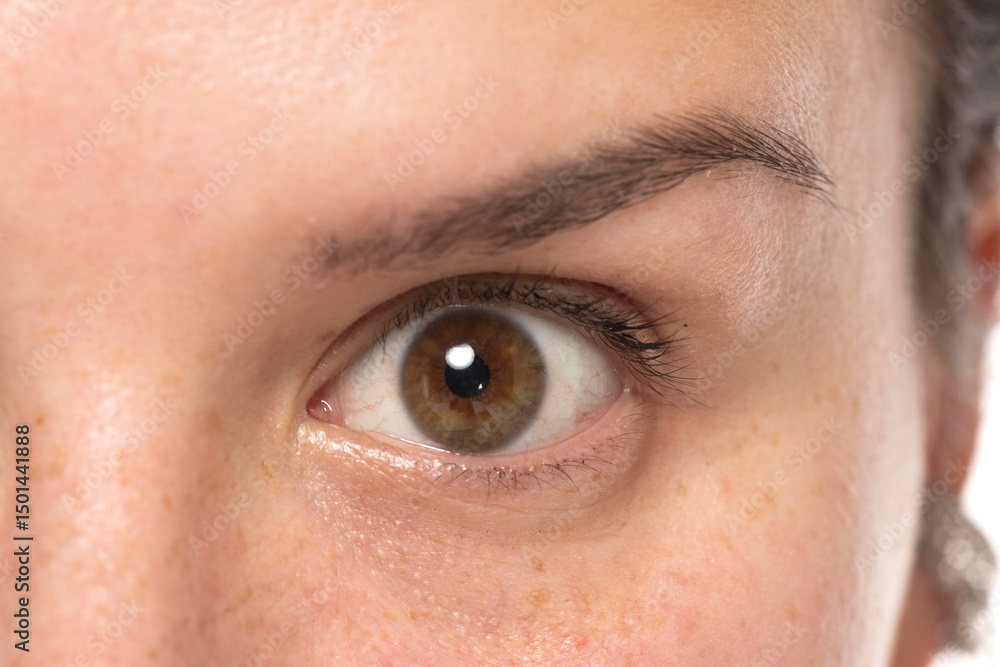 Obraz premium Closeup of female brown eye with natural skin, no makeup, studio shot on white background.