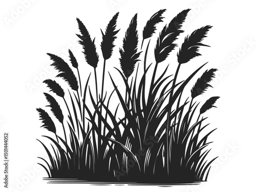 Reeds Vector Design Black color, simple