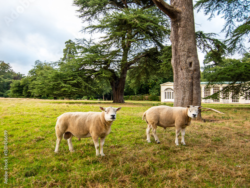 Blickling Estate in Norfolk, United Kingdom