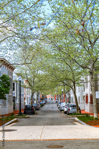 Fototapeta Naklejka Na Ścianę i Meble -  Small streets in the center of Washington, DC, street architecture of the US capital.