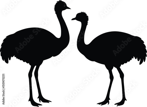 Two emu bird silhouette, Emu bird silhouette vector, Two emu face to face standing bird silhouette