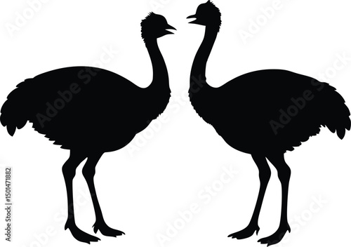 Two emu bird silhouette, Emu bird silhouette vector, Two emu face to face standing bird silhouette
