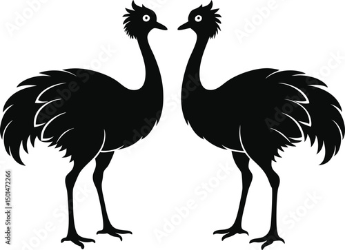 Two emu bird silhouette, Emu bird silhouette vector, Two emu face to face standing bird silhouette