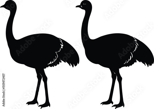 Two emu bird silhouette, Emu bird silhouette vector, Two emu face to face standing bird silhouette