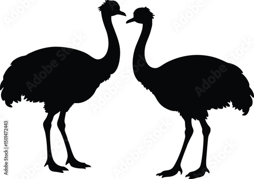 Two emu bird silhouette, Emu bird silhouette vector, Two emu face to face standing bird silhouette