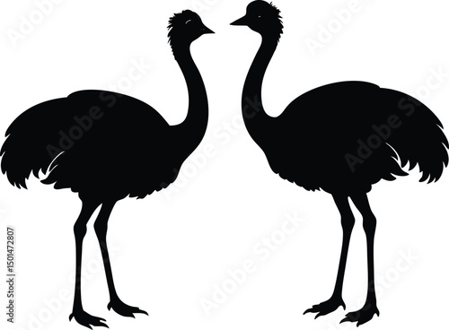 Two emu bird silhouette, Emu bird silhouette vector, Two emu face to face standing bird silhouette