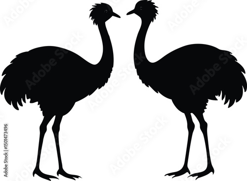 Two emu bird silhouette, Emu bird silhouette vector, Two emu face to face standing bird silhouette