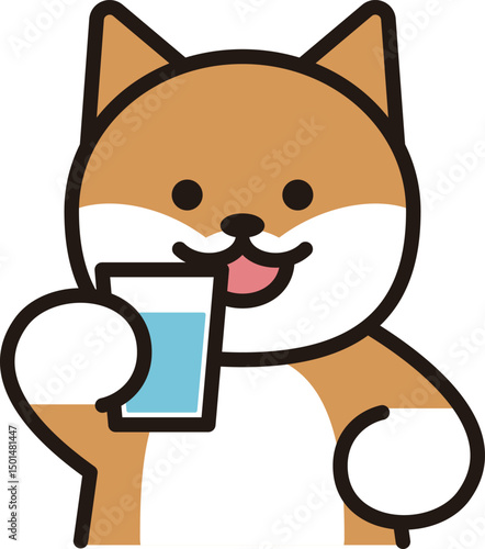 水を飲む犬　柴犬　シンプル