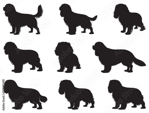CAVALIER KING CHARLES SPANIEL DOG SILHOUETTE