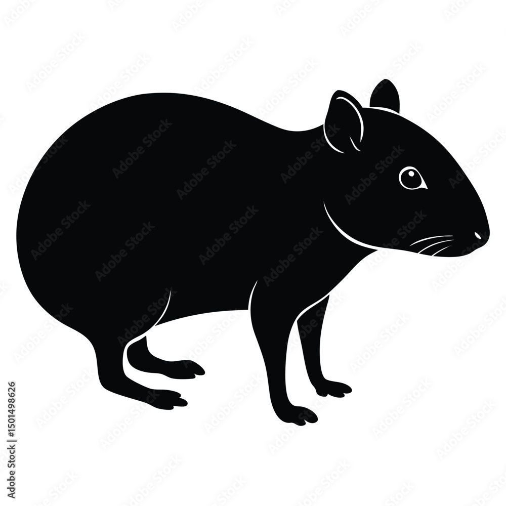 Fototapeta premium agouti sihouette