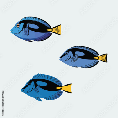 Vibrant Blue Tang fish in a dynamic silhouette, on a clean white background