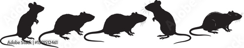 Mice and rats silhouette set vector illustration