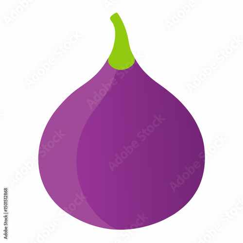 vector illustration of an Fig