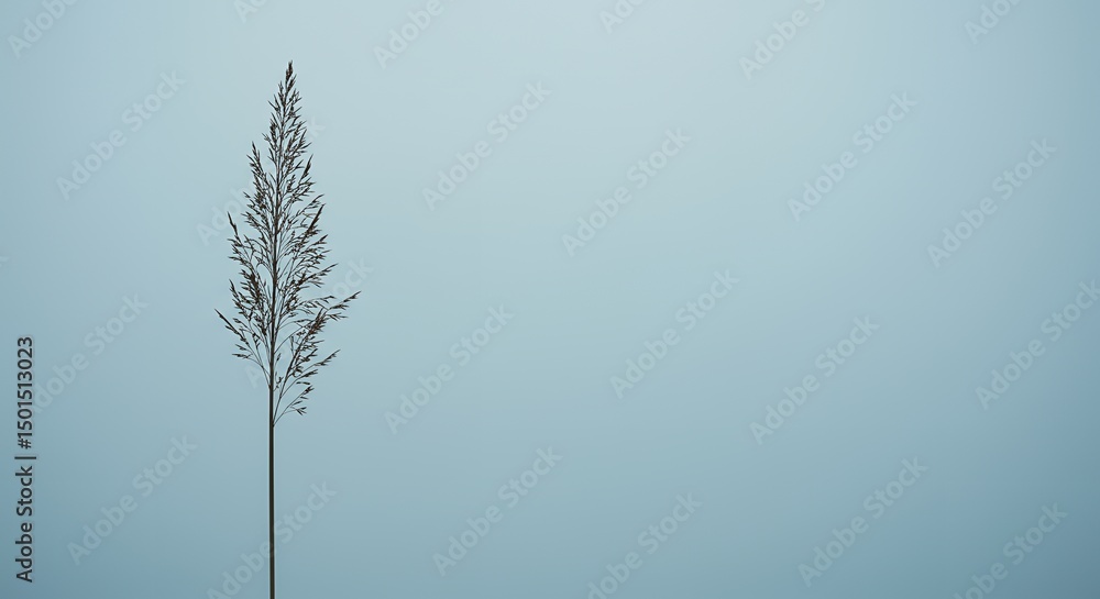 Fototapeta premium Solitude in Stillness: A Minimalist Ode to Nature and Negative Space