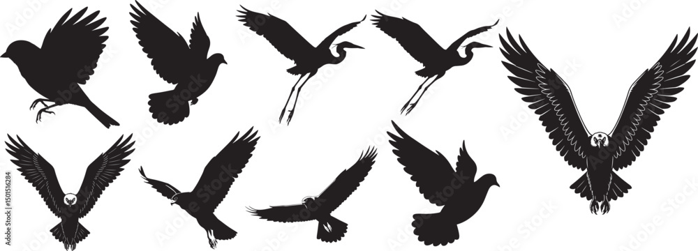 Fototapeta premium Flying birds in various breeds vector illustration