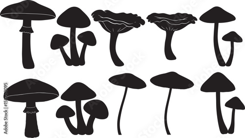 Mushroom variety silhouette set vector illustration
