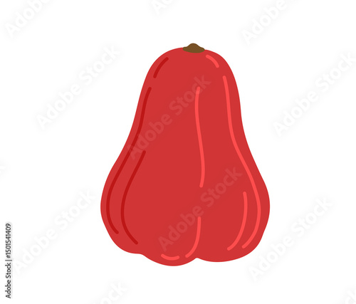Java apple, Semarang rose-apple, and wax jambu. Vector hand-drawn illustration, isolated on white background.
