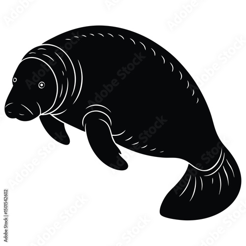 mnatee vector