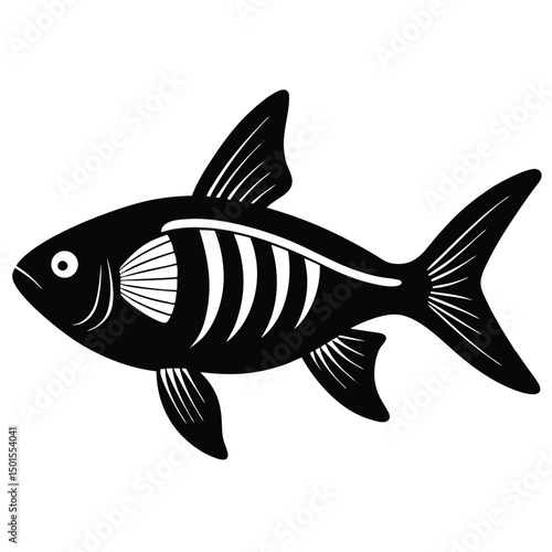 x ray tetra vector fish