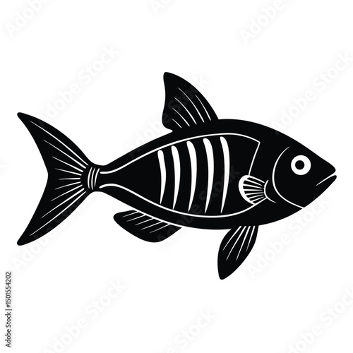 x ray tetra vector fish