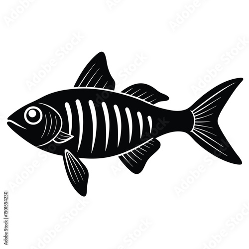 x ray tetra vector fish