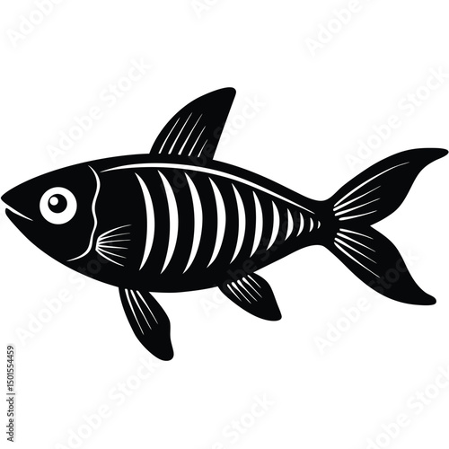 x ray tetra vector fish