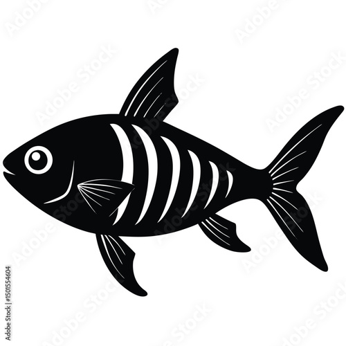 x ray tetra vector fish