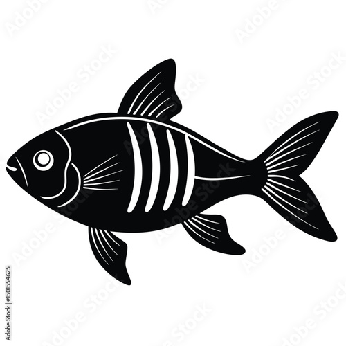 x ray tetra vector fish