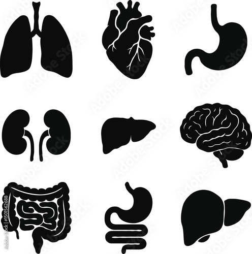 set of human organs silhouette