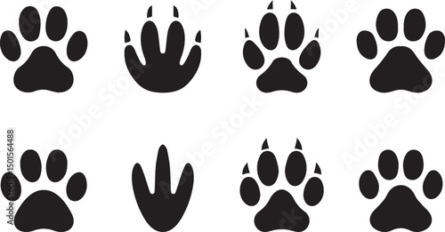 Animal paw print silhouette icon set – dog, cat, bird, and wild animal tracks