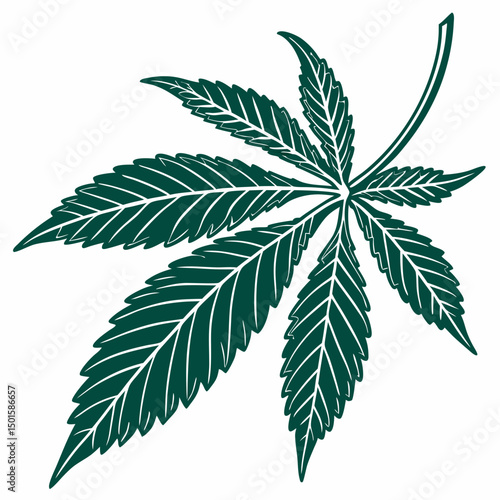 Single dark green cannabis leaf illustration