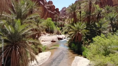 Oasis River Flowing Through Desert Canyon Palm Trees Landscape
