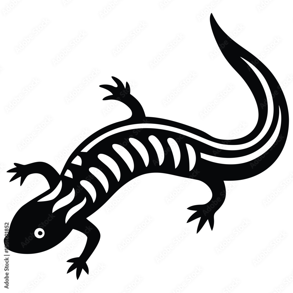 Naklejka premium salamander vector