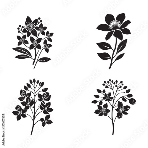 Silhouettes of cassia fistula flower vector on white background.  