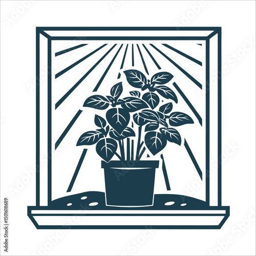 Basil Plant on Windowsill with Sunbeams