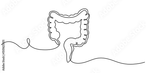 Continuous line drawing of human colon. Single line illustration of human colon organ. Human anatomy concept. Editable outline, Human intestine, conceptual illustration
