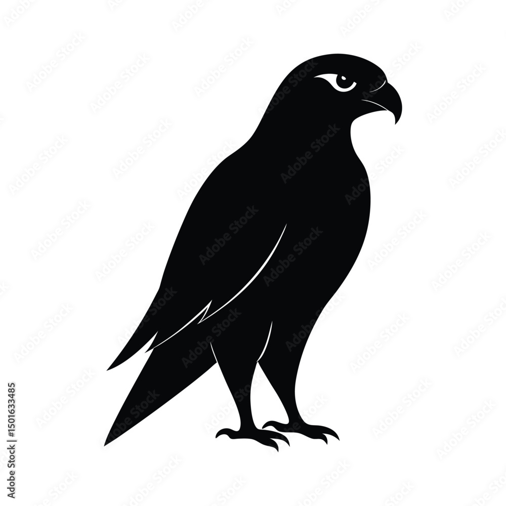 Fototapeta premium silhouette of a bird 