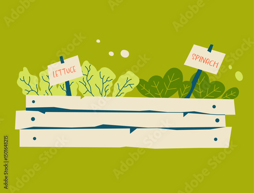 Vector illustration of salad and spinach seedlings in a wooden garden bed. Perfect for spring gardening visuals and organic farming designs