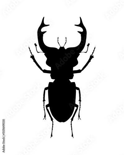 Stag beetle. Vector illustration in black. Silhouette. Isolate. Flat style. Tattoo. Drawing of an insect.