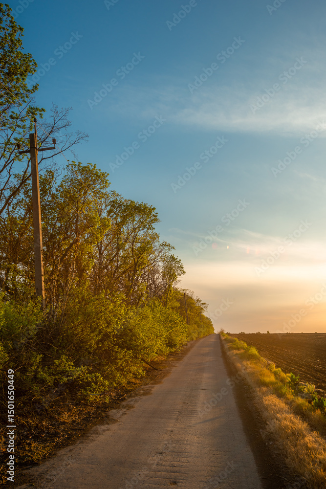 Fototapeta premium Expansive Green Landscape with Rolling Hills and Blue Sky