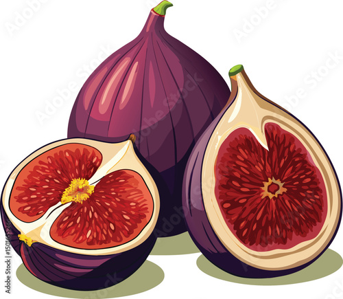 Vibrant illustration of fresh figs whole and halved purple figs with red interiors