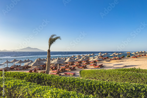 Vászonkép View of the beach and thatched beach umbrellas in Sharm el-Sheikh in Egypt