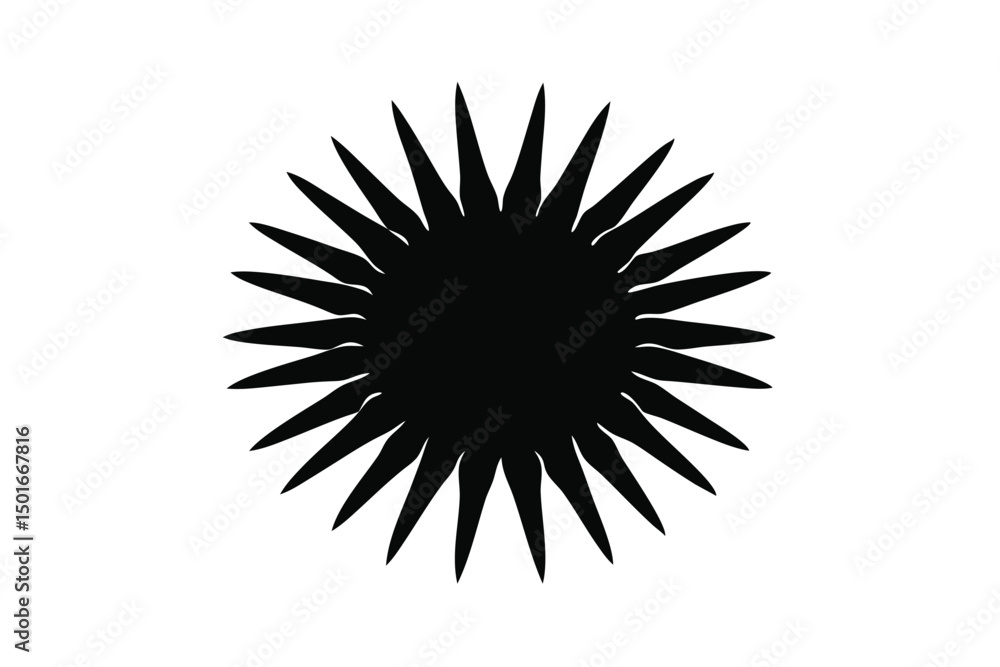 Obraz premium black and white sun