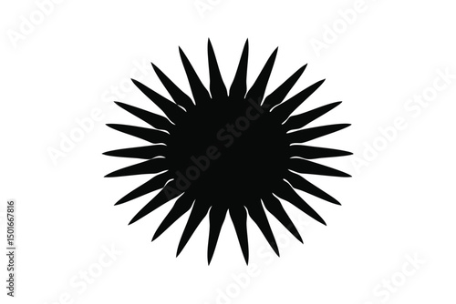 black and white sun