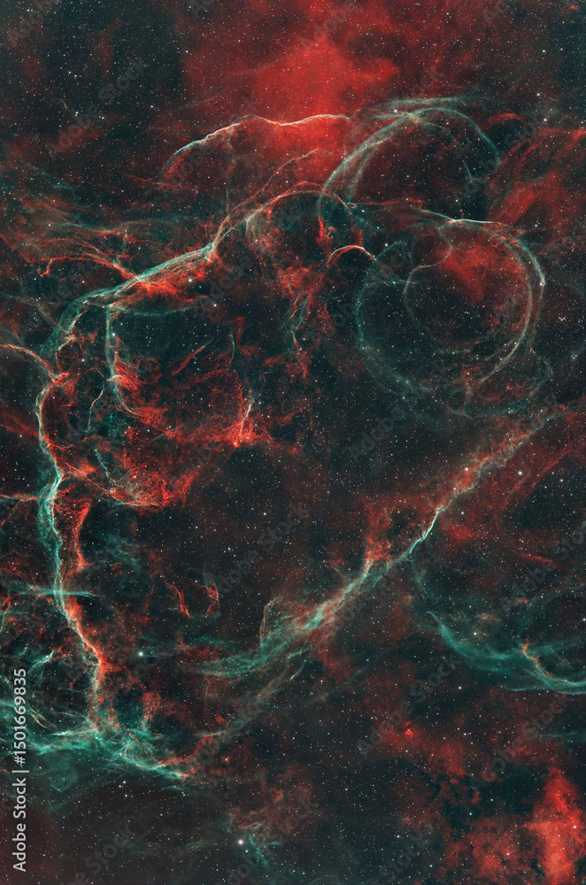Fototapeta premium The Vela Supernova Remnant Nebula