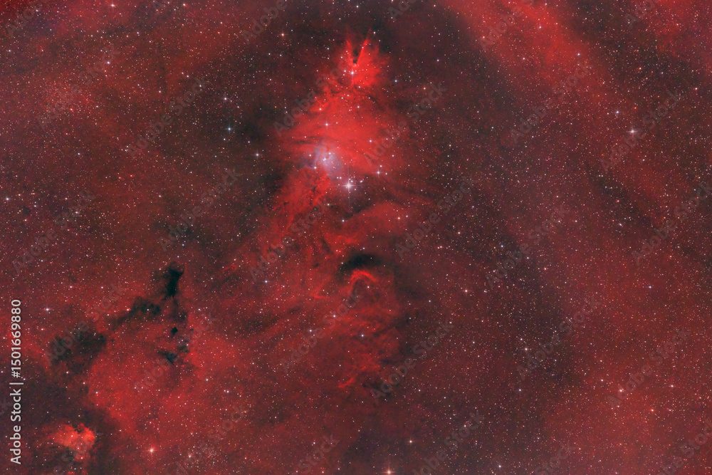 Fototapeta premium Cone Nebula, and the Christmas Tree Cluster
