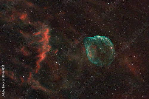 The Dolphin Head Nebula (SH2-308)